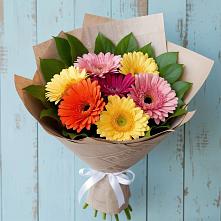 Букет цветов из:  Герберы в Ахтырском