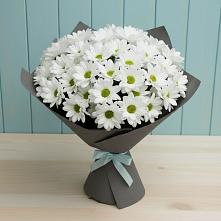 Букет цветов из:  Хризантемы в Ахтырском