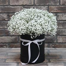 Композиция коробка гипсофил в Ахтырском Цветочная композиция из Гипсофила в шляпной коробке в Ахтырском